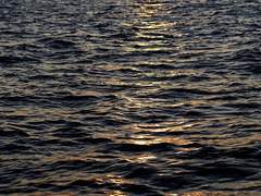 그가 바다를 사랑해야하는 이유