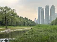 [조] 6.3 | chaconne