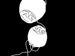 뱀파이어 만화 목짤리는거나옴 주의