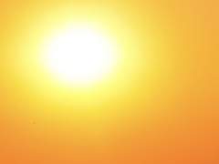 [BL] 영험한 밤의 몸종 (46) : 아기 고양이