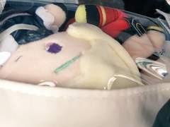 프로메어 온리전 염상발현 후기