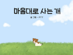 마음대로 사는 개