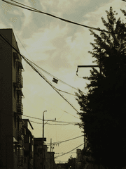 내 감정을 위한 시