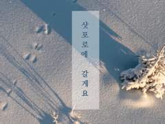 삿포로에 갈게요