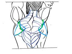 2023년 6월 3일 (토) <해부학>