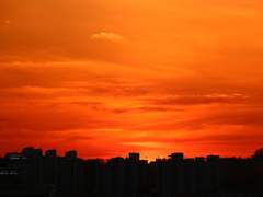 알려주시겠어요?