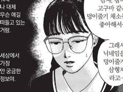 다육이와 강낭콩