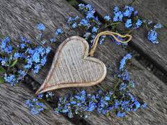 물망초 드리우며, 꽃다발을 들고 왈츠를.