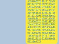 [원신드림]수메르f4와..