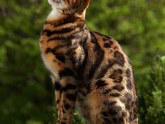 [탐카베] 공동육묘 1