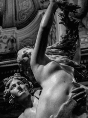 콘스텔레이션(星座)