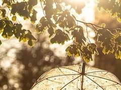 [LCB] 여우비 : Epilogue.