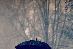 [LCB] 여우비 6 (完)