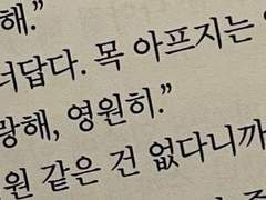 변함없이 좋아하는 녀석