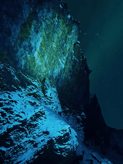 REIN:오류입니다