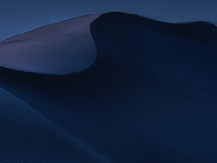 소년은 사막의 밤을 사랑해. 2