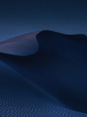 소년은 사막의 밤을 사랑해