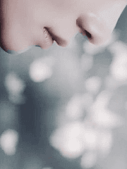 물과 육지 그 사이