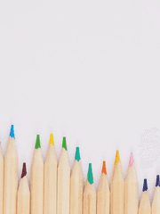 다시 돌아온 홍일점