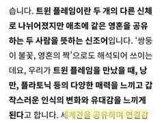 Twin flame에 대한 고찰