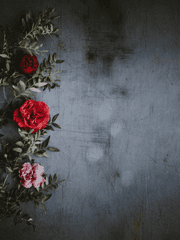 사랑하지 못한다는 건