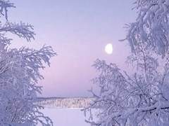 초식고와 육식고는 친해질 수 없나요?