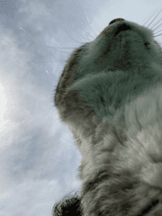 포토카드 프레임 도안