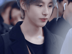 나의 회색 아기 고양이 06