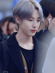 나의 회색 아기 고양이