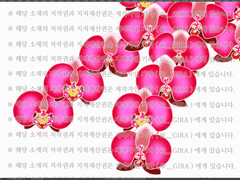 [클립스튜디오 소재 / 브러쉬 / PNG 파일] 식물_난초 (꽃 전용)