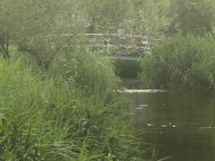 [빵이] 6/4 일 | 여름을 사랑하는 방법