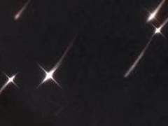 아나스타시아 제로