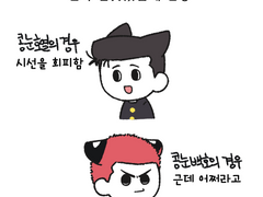 [호열백호] 콩눈 양호열 + 백호 / 콩눈 강백호 + 호열 썰 백업