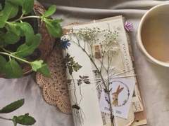 제로피리 백업 - 5