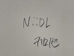 디엘이네 손그림 커미션