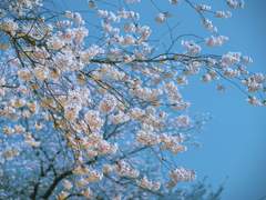 [태웅대만] Honey Moon 6.