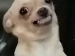 가이드 폼 미쳤다 1