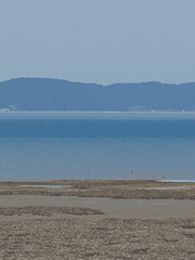 습한 여름 네가 생각나는 여름.