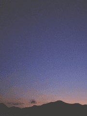 낮말은 새가 듣는다