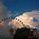 이야기 속을 표류하며