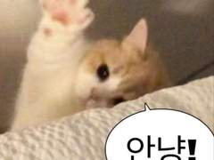 마배우vs이매니저 1화