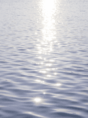 [일반]글커미션