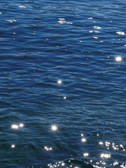 리퀘/선물/커미션