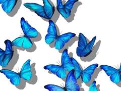 #은하를_품은_나비