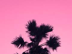 [EVENT] {점술집 패키지 할인 이벤트}