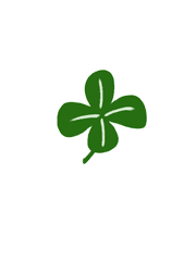 네잎 브러쉬 공유