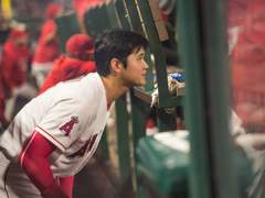 LOVE STORY: 사랑의 형태