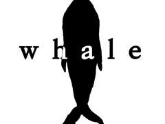 Whale