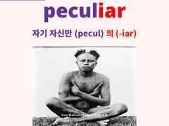 peculiarity (peculiar)