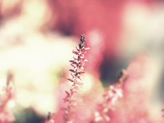 어떤 갈림길의 끝